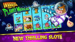swiss lawn Reactoonz Tournaments